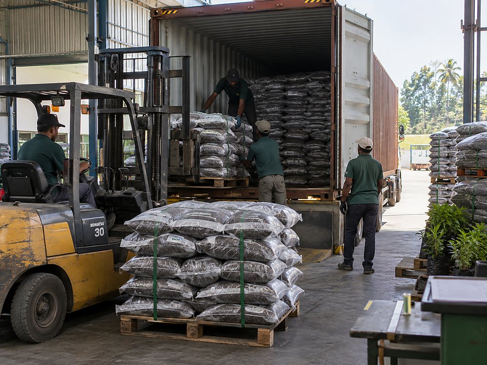 Vermicompost sacks being checked and loaded into shipping container
